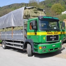cimg0481